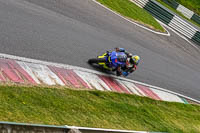 cadwell-no-limits-trackday;cadwell-park;cadwell-park-photographs;cadwell-trackday-photographs;enduro-digital-images;event-digital-images;eventdigitalimages;no-limits-trackdays;peter-wileman-photography;racing-digital-images;trackday-digital-images;trackday-photos